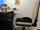 Страшнее кошки зверя нет