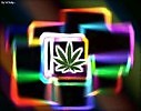 DelRagga-We are all unite(Summertime Reggae)