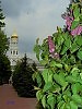 Одесса