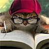 Удивительная судьба красивой женщины.