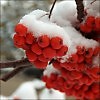 Осенняя любовь