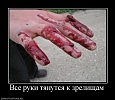ОТМОРОЗКИ