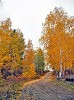 осень