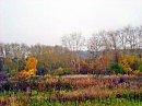 краски осени