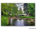 Выборг, Парк Монрепо, Китайские мостики