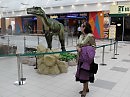 Заблудился в магазине