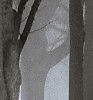 Untitled ...