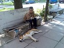 Культурный отдых