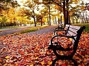 ОСЕННЕЕ НАСТРОЕНИЕ