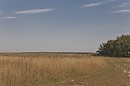 Поле**
