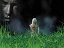 Изумрудная степь Синегорья. Муз. и исп. Александр Манойло