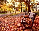 Золотая осень