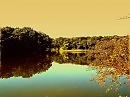Осень