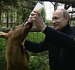 Путин-Айболит