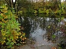 Из серии "Фотозарисовки": В самом начале Осени...