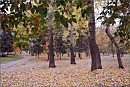 Осенней порой