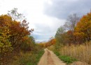 Дорога в Осень.