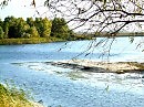 красота