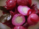 Яички розовой курочки