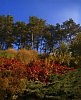 Палитра осени