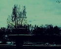 зима настала...