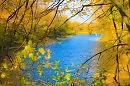 яркие краски осени