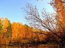 осень