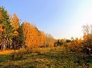 осень