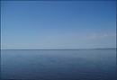 Форель