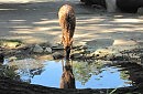 ВКУСНАЯ ВОДИЧКА