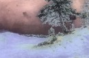 Вариация картины Ивана Шишкина (Ivan Shishkin) 2 – 11