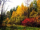 осень