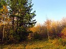 осенней тропой