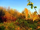 осенней тропой