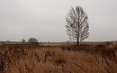 Осенние-зарисовки