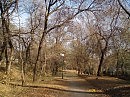 Природно-осенний мотив