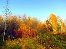 осенней тропой