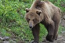 ПАРОДИЯ Оголился внутренний мой мир..