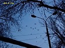 перелет