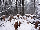 зимняя зарисовка