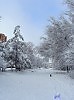 Прогулка по первому снежку