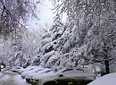под прикрытием зимы