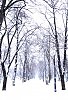 Winter park