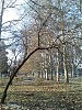 Зима. Полдень