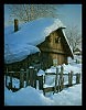 Зима в деревне (Два скворечника)
