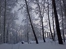 Послепраздничное