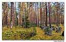 Линия Маннергейма