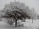 пришла зима 2012