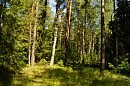 Мещера