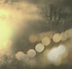 Тенета (стихи Елены Зейферт, музыка Юрия Вайханского)
